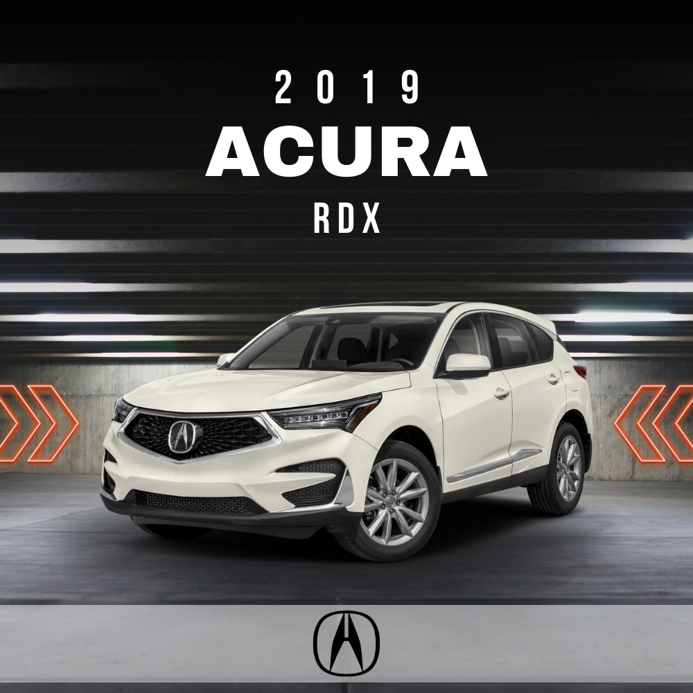 Wire Layout 2019 Acura RDX 2.0L Advance - PDF
