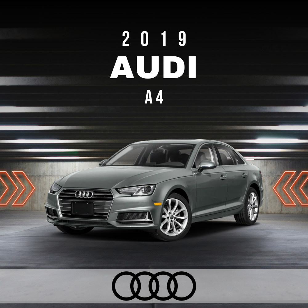 Wire Layout 2019 Audi A4 2.0L Premium - PDF
