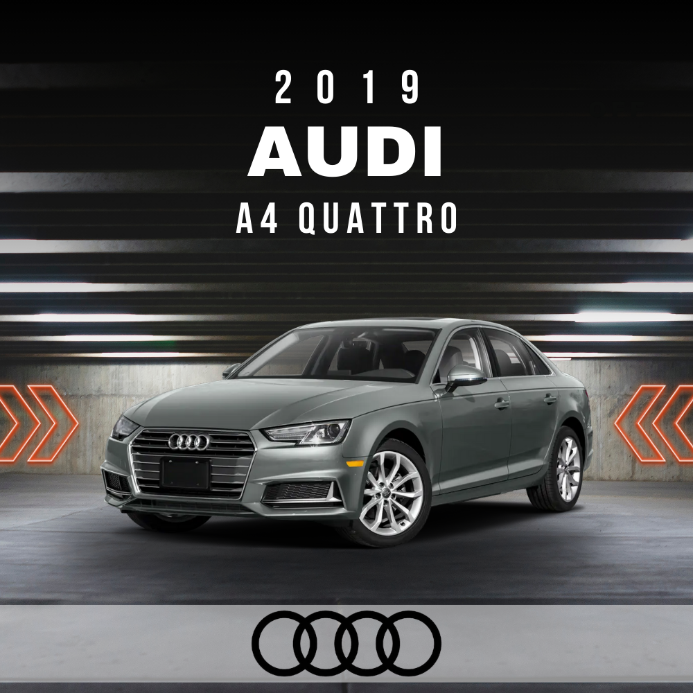 Wire Layout 2019 Audi A4 Quattro 2.0L Premium - PDF