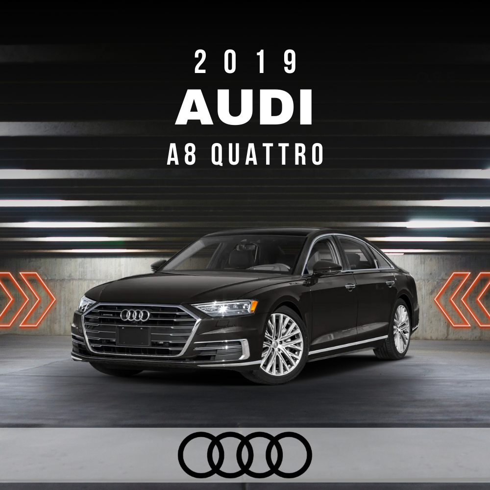Wire Layout 2019 Audi A8 Quattro 4.0L L - PDF