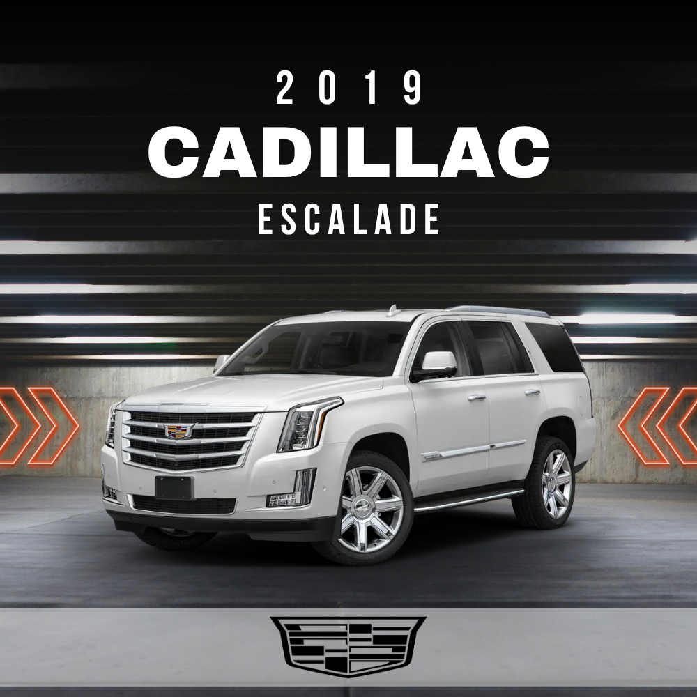 2019 Cadillac Escalade Electrical Wiring Diagram Manual PDF