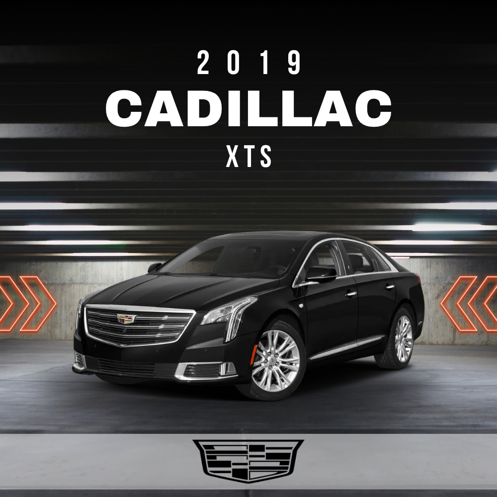 2019 Cadillac XTS Electrical Wiring Diagram Manual PDF