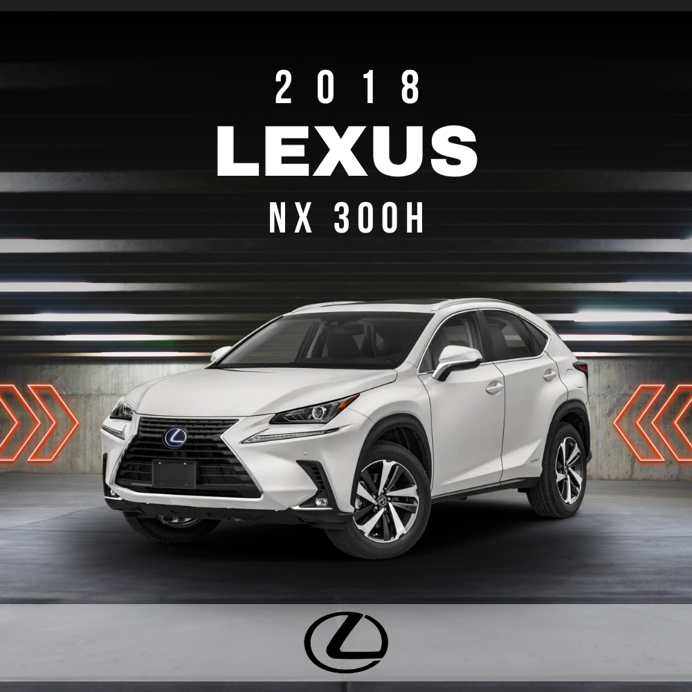 2018 Lexus NX 300h Electrical Wiring Diagram Manual PDF