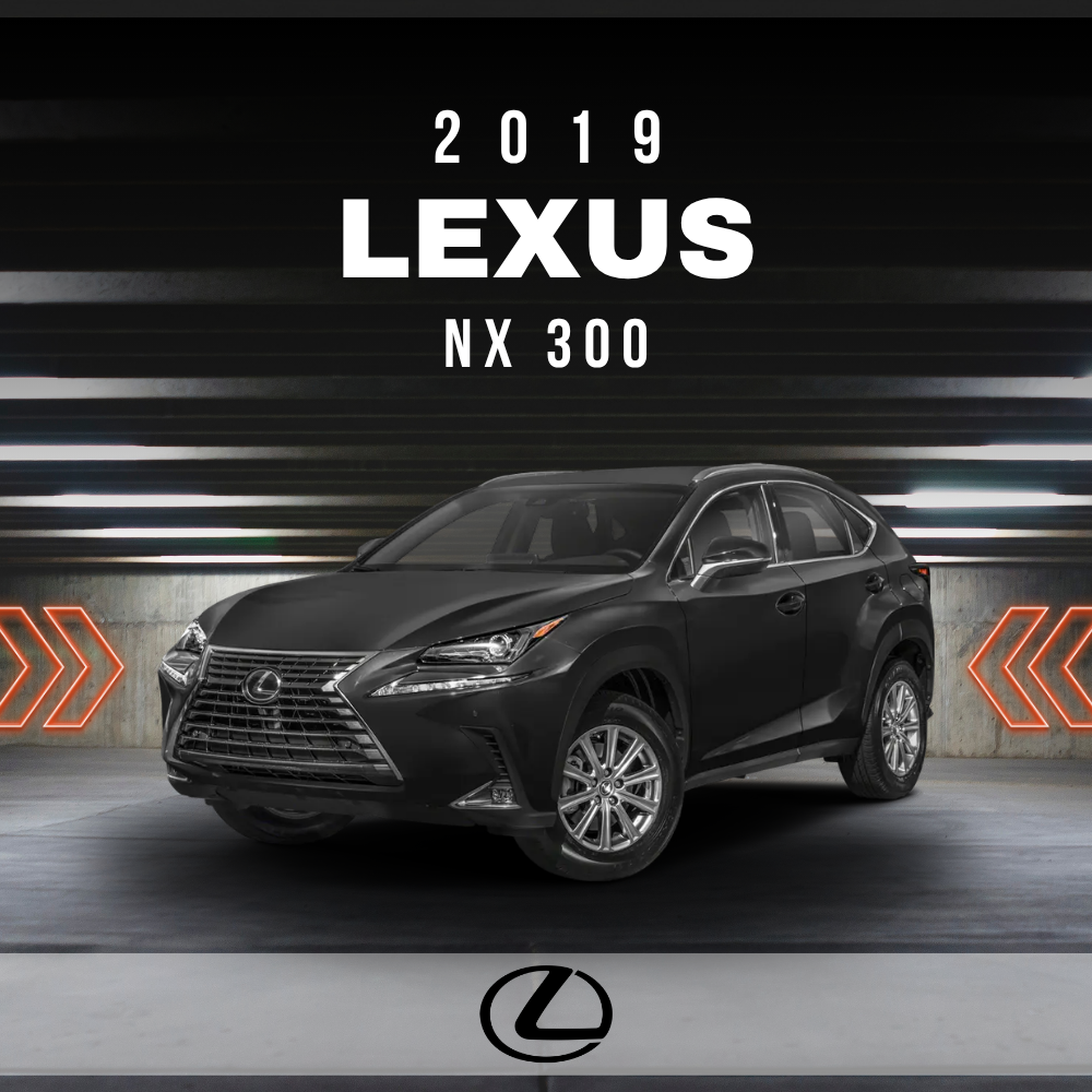 2019 Lexus NX 300 Electrical Wiring Diagram Manual PDF