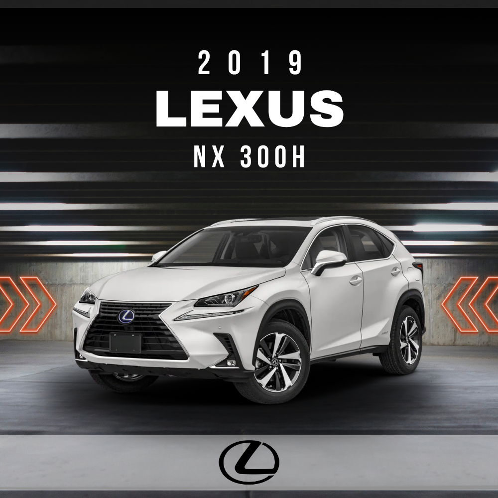 2019 Lexus NX 300h Electrical Wiring Diagram Manual PDF