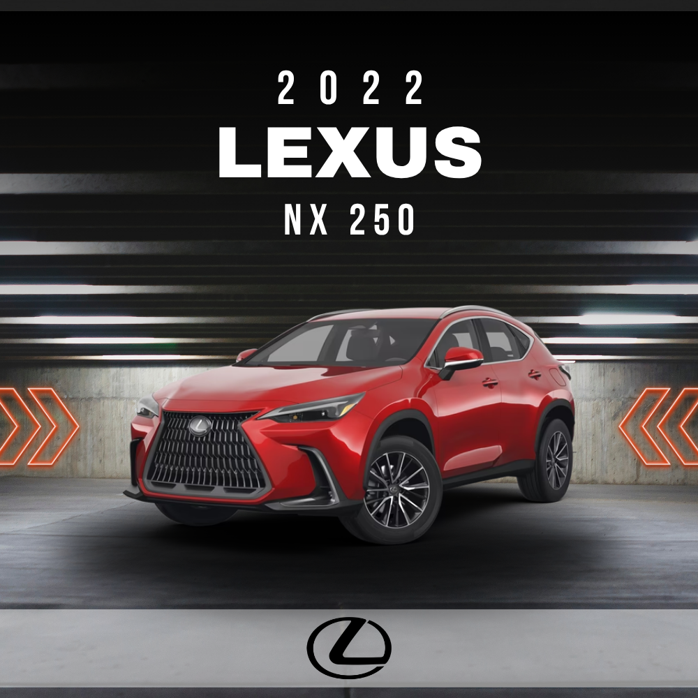 2022 Lexus NX 250 Electrical Wiring Diagram Manual PDF