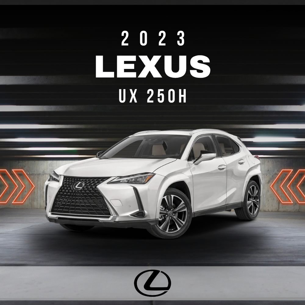 2023 Lexus UX 250h Electrical Wiring Diagram Manual PDF
