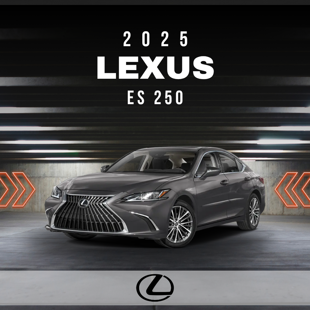 2025 Lexus ES 250 Electrical Wiring Diagram Manual PDF