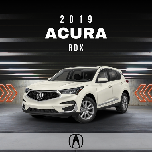 Wire Layout 2019 Acura RDX 2.0L Technology - PDF