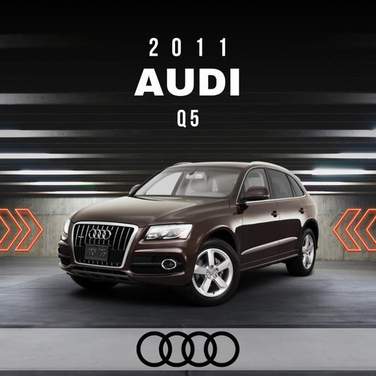 Wire Layout 2011 Audi Q5 3.2L 3.2 - PDF