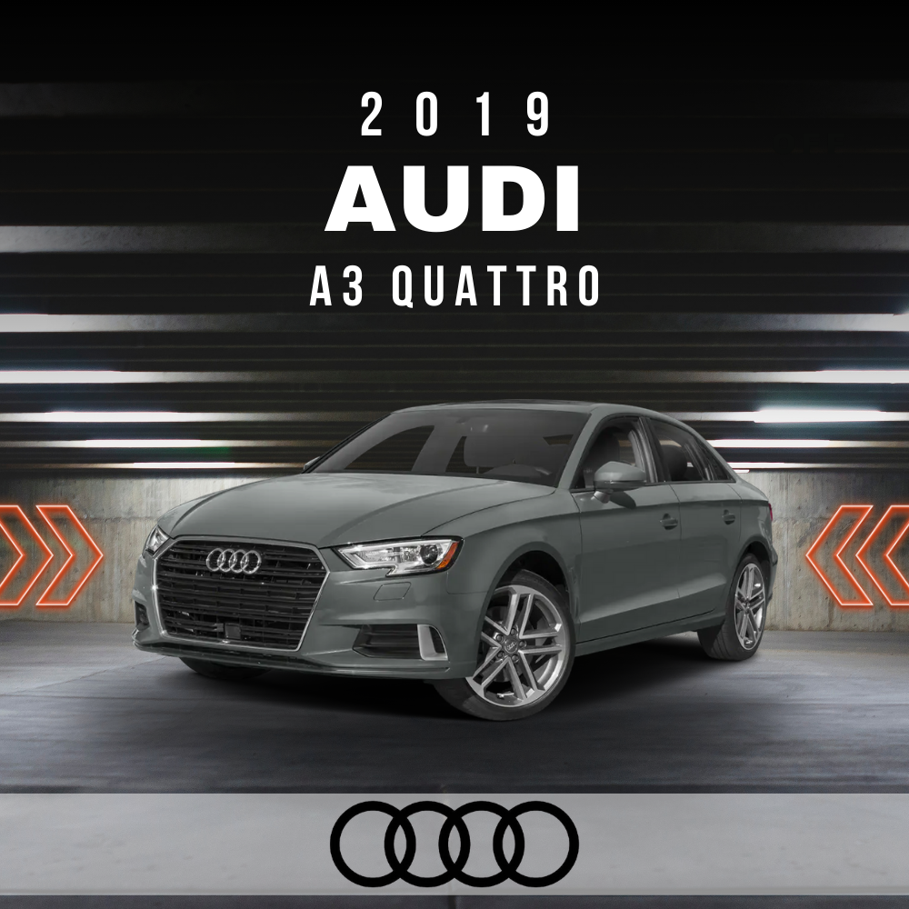 Wire Layout 2019 Audi A3 Quattro 2.0L Prestige - PDF