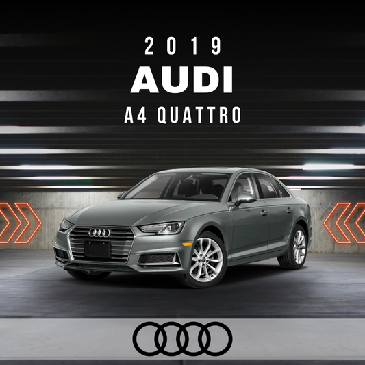 Wire Layout 2019 Audi A4 Quattro 2.0L Prestige - PDF