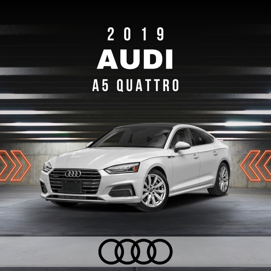Wire Layout 2019 Audi A5 Quattro 2.0L Prestige - PDF