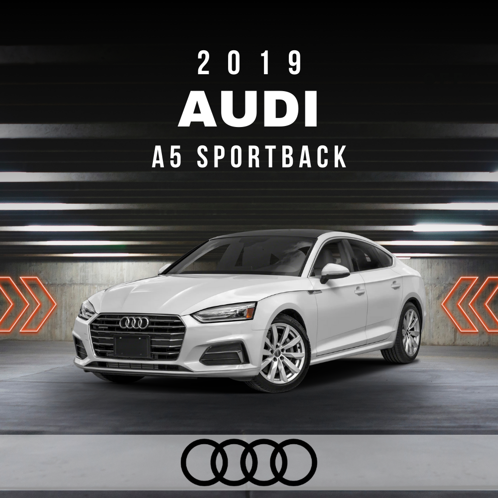 Wire Layout 2019 Audi A5 Sportback 2.0L Premium Plus - PDF
