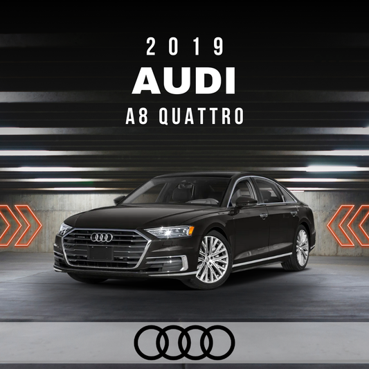 Wire Layout 2019 Audi A8 Quattro 4.0L L - PDF