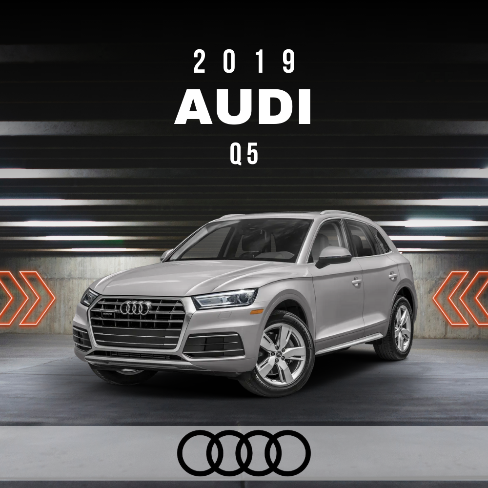 Wire Layout 2019 Audi Q5 2.0L Prestige - PDF