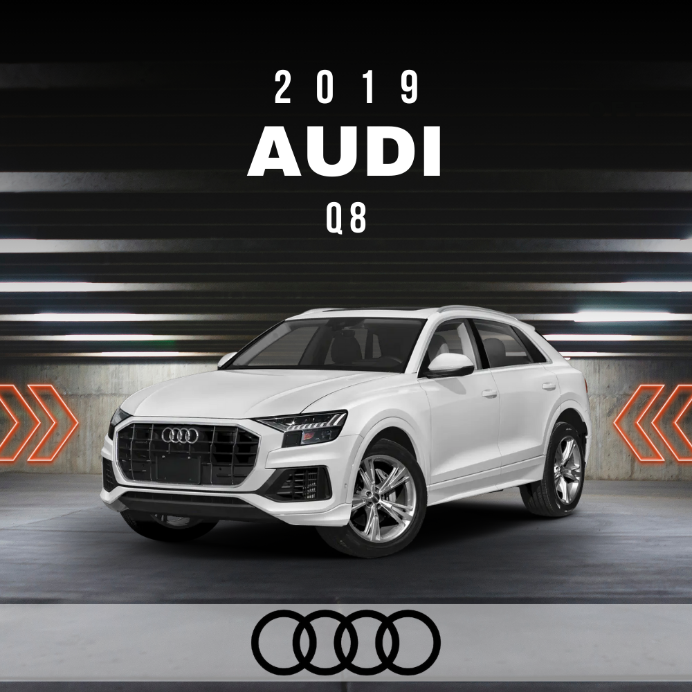 Wire Layout 2019 Audi Q8 3.0L Premium Plus - PDF