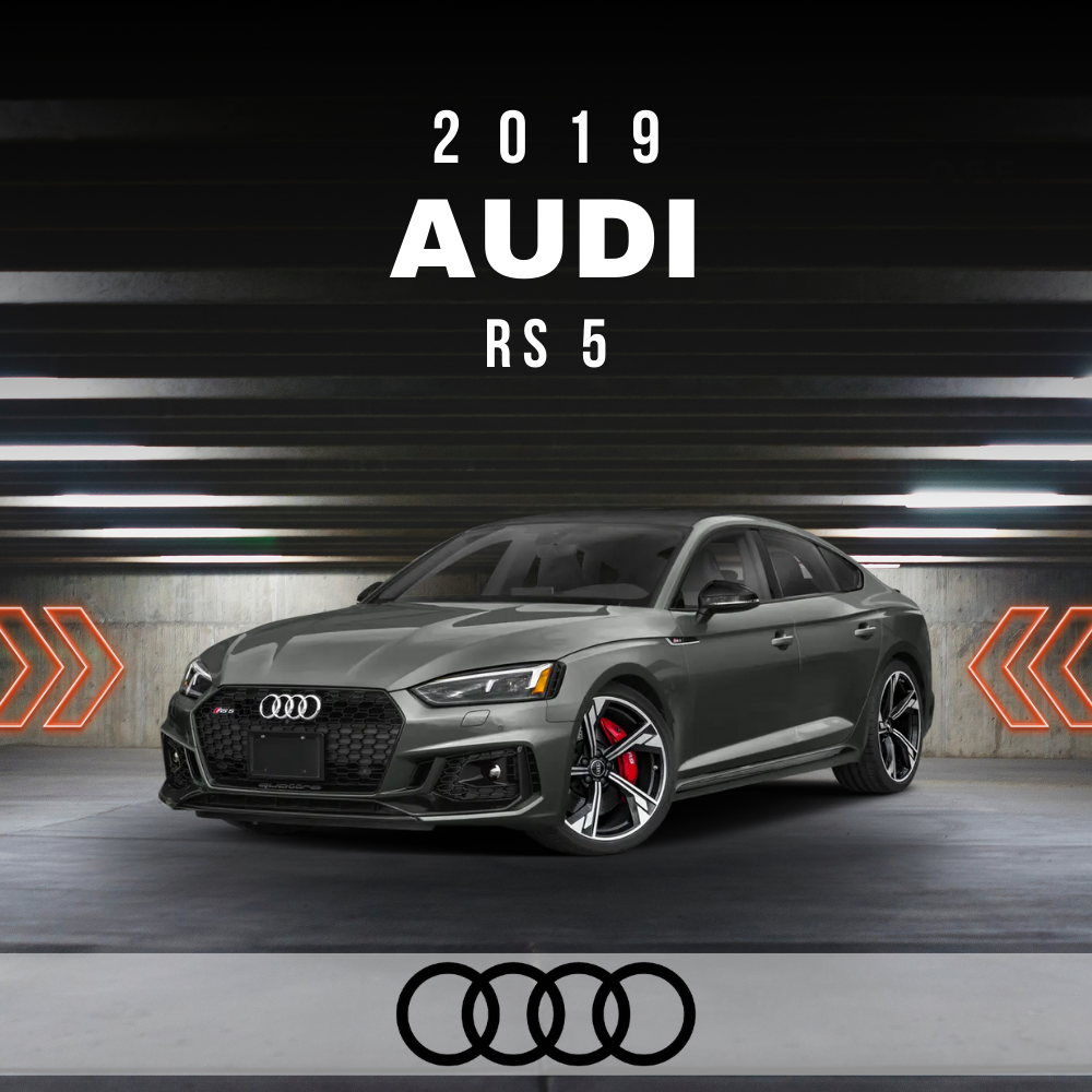 Wire Layout 2019 Audi RS 5 2.9L Base - PDF