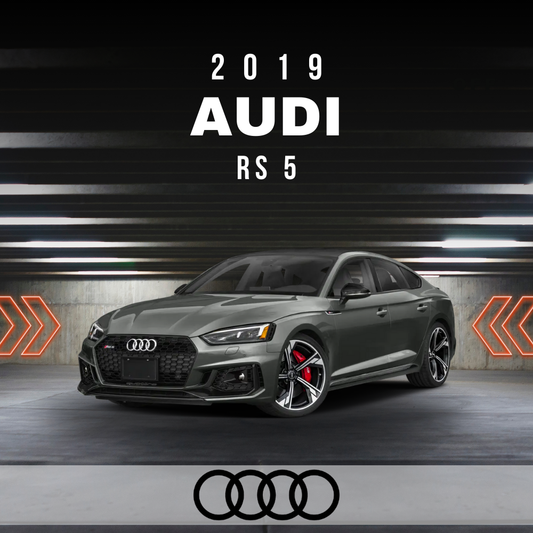 Wire Layout 2019 Audi RS 5 2.9L Base - PDF