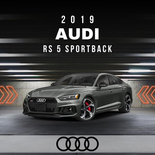 Wire Layout 2019 Audi RS 5 Sportback 2.9L Base - PDF