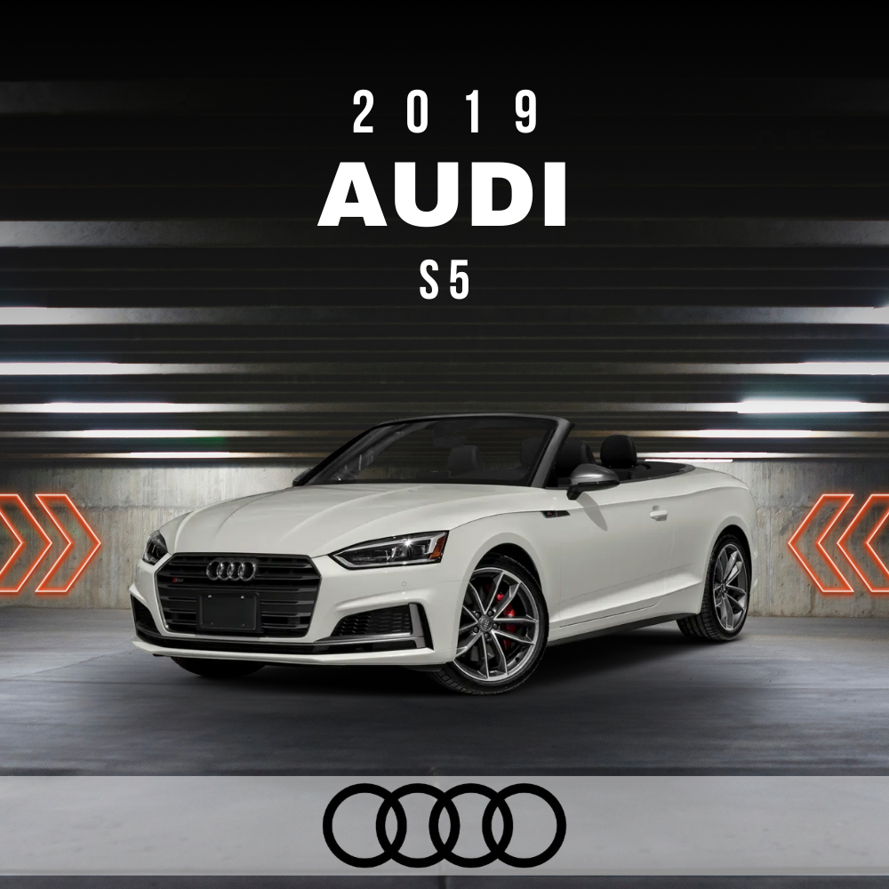 Wire Layout 2019 Audi S5 3.0L Premium Plus - PDF