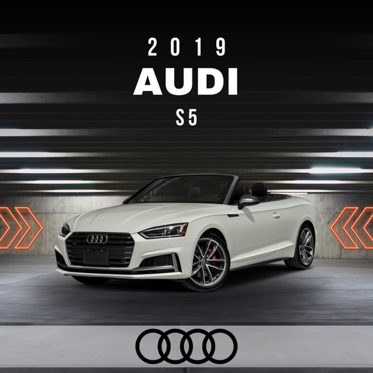 Wire Layout 2019 Audi S5 3.0L Prestige - PDF