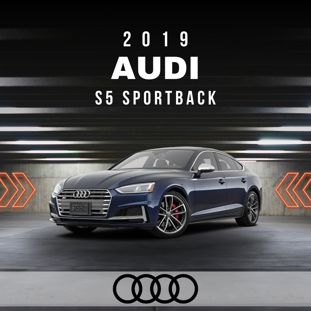 Wire Layout 2019 Audi S5 Sportback 3.0L Premium Plus - PDF