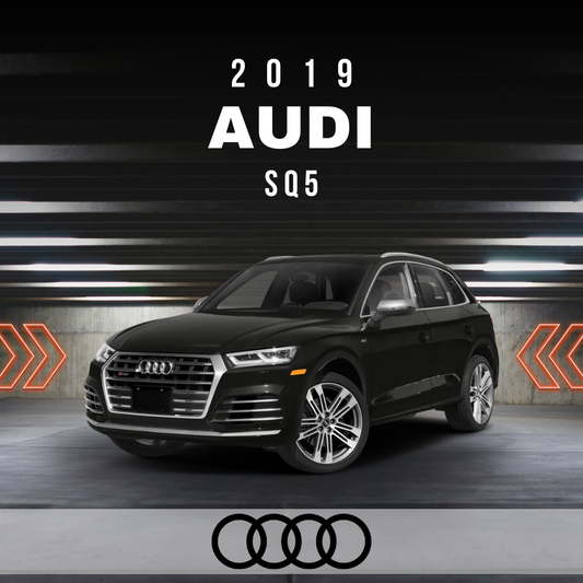 Wire Layout 2019 Audi SQ5 3.0L Prestige - PDF