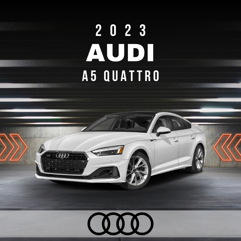 2023 Audi A5 Quattro 2.0L Premium Plus Electrical Wiring System Diagram Manual – PDF Download