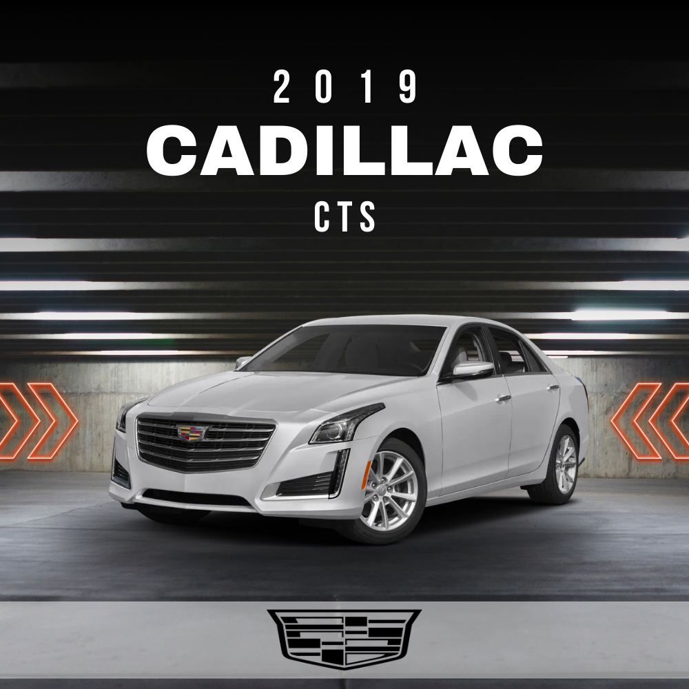 Wire Layout 2019 Cadillac CTS 2.0L Base - PDF