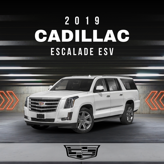 Wire Layout 2019 Cadillac Escalade ESV 6.2L Premium Luxury - PDF