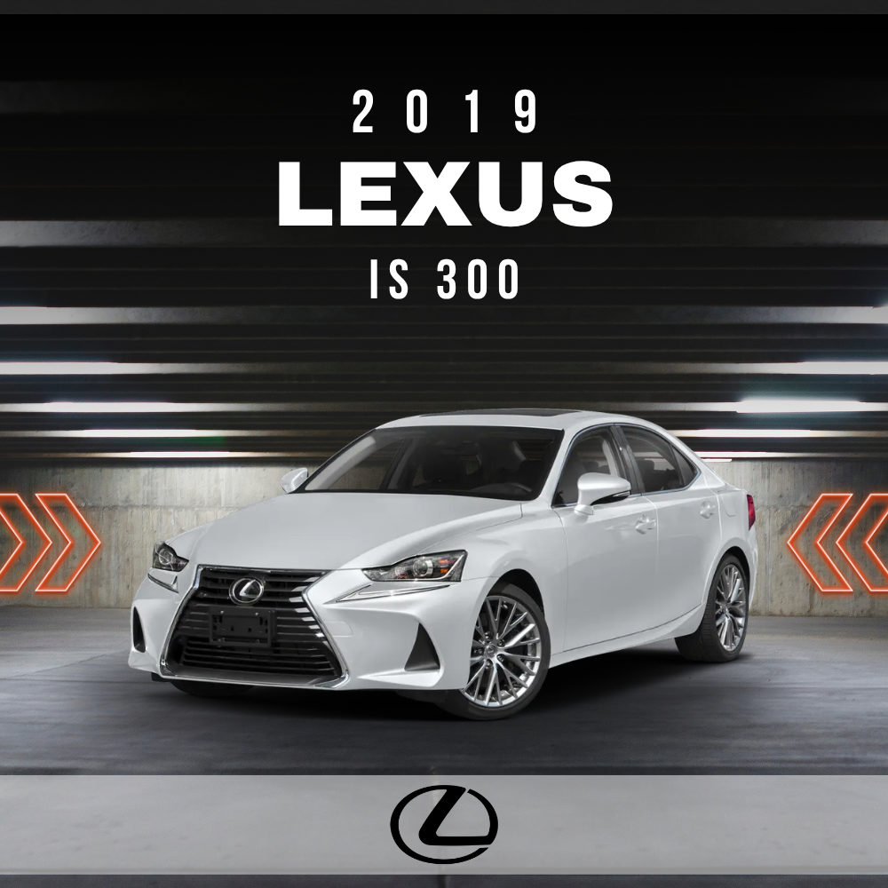 2019 Lexus IS 300 Electrical Wiring Diagram Manual PDF