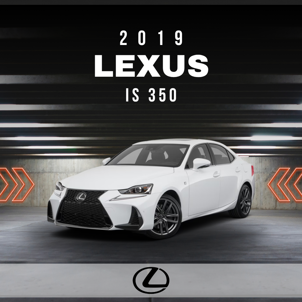 2019 Lexus IS 350 Electrical Wiring Diagram Manual PDF
