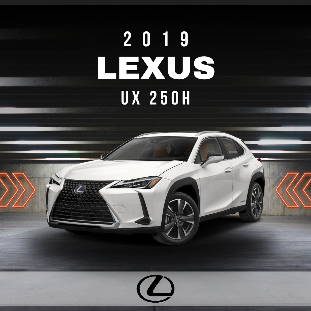 2019 Lexus UX 250h Electrical Wiring Diagram Manual PDF