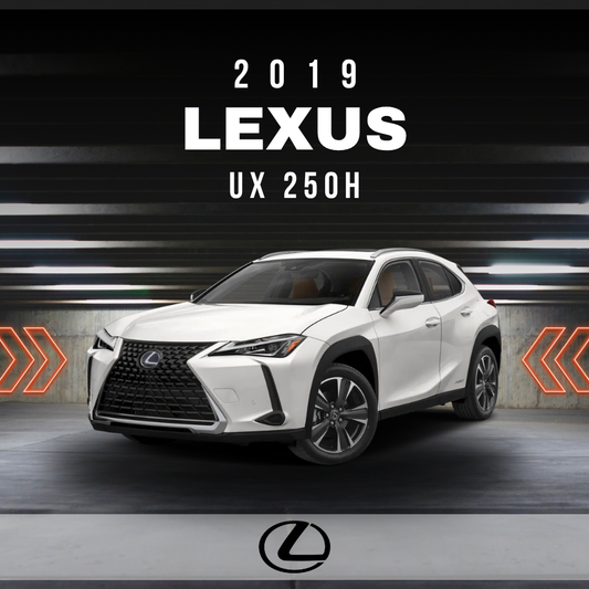 2019 Lexus UX 250h Electrical Wiring Diagram Manual PDF