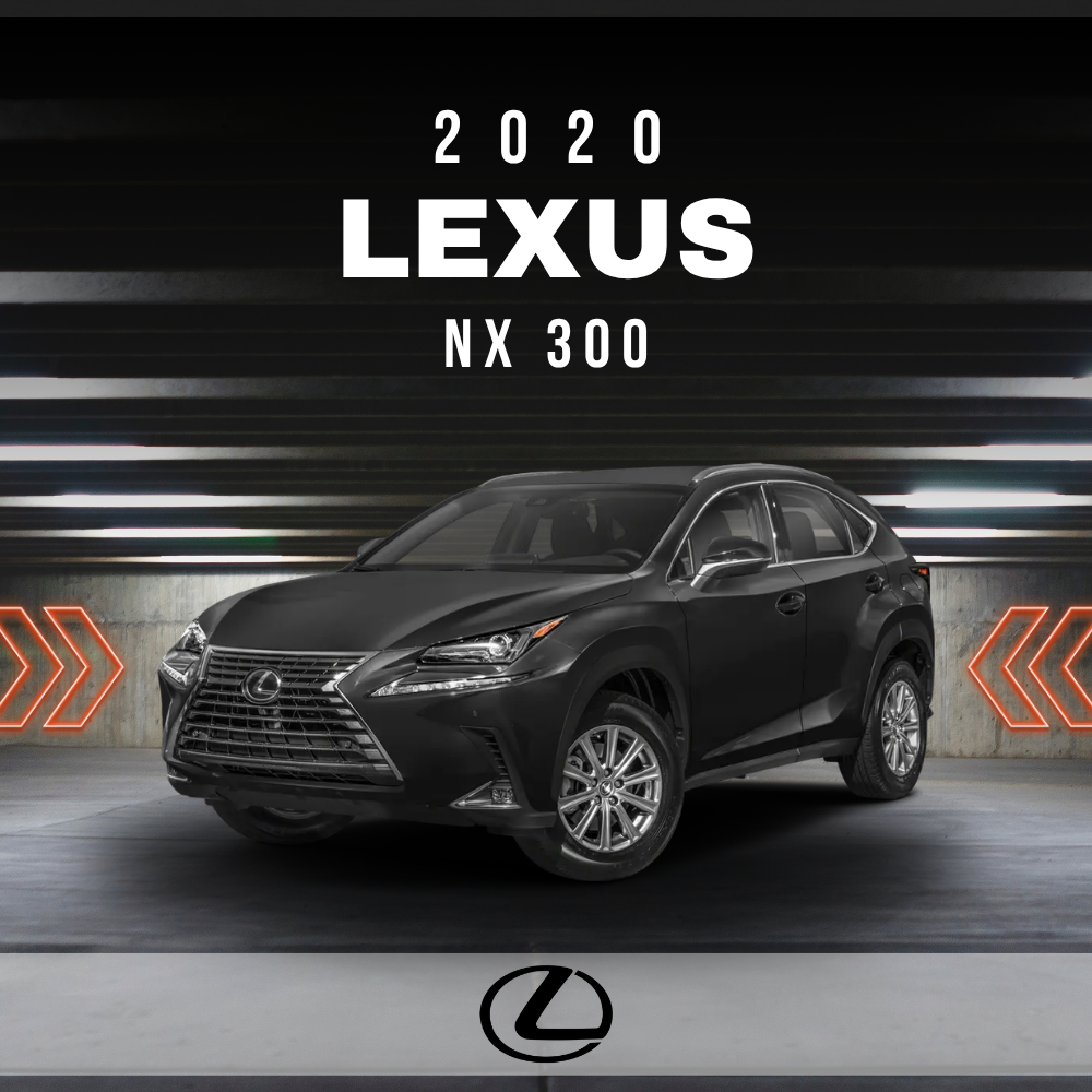 2020 Lexus NX 300 Electrical Wiring Diagram Manual PDF