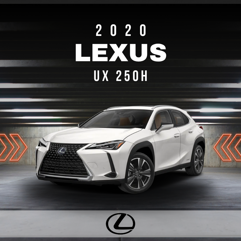 2020 Lexus UX 250h Electrical Wiring Diagram Manual PDF