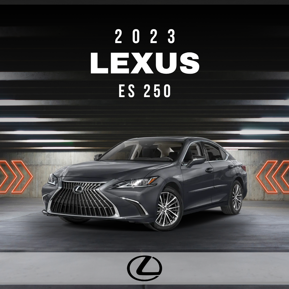 2023 Lexus ES 250 Electrical Wiring Diagram Manual PDF