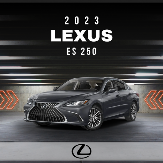 2023 Lexus ES 250 Electrical Wiring Diagram Manual PDF