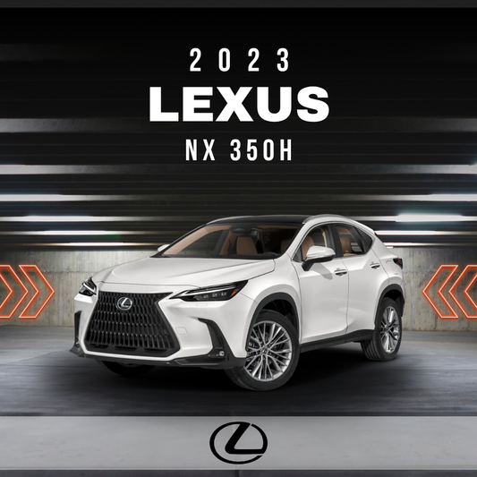2024 Lexus NX 350h Electrical Wiring Diagram Manual PDF