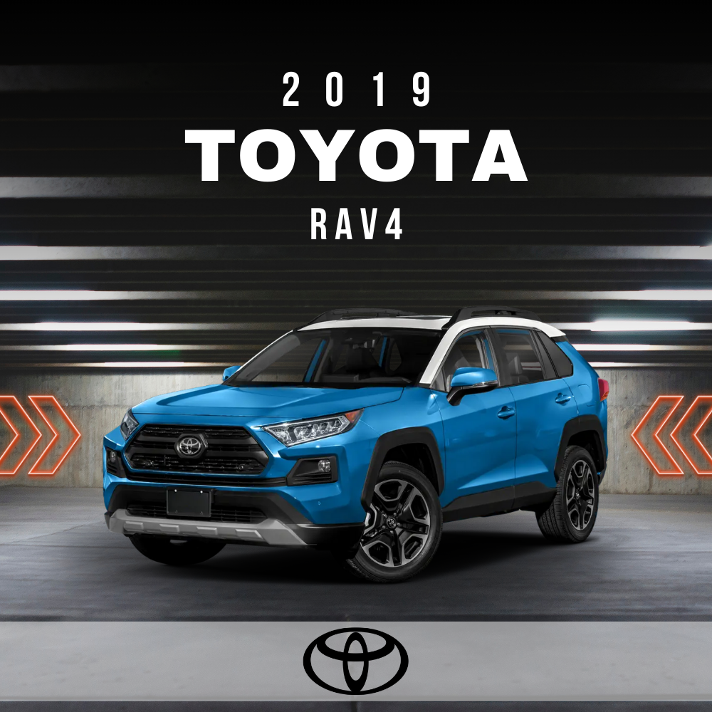 Wire Layout 2019 Toyota RAV4 2.5L Hybrid XSE - PDF