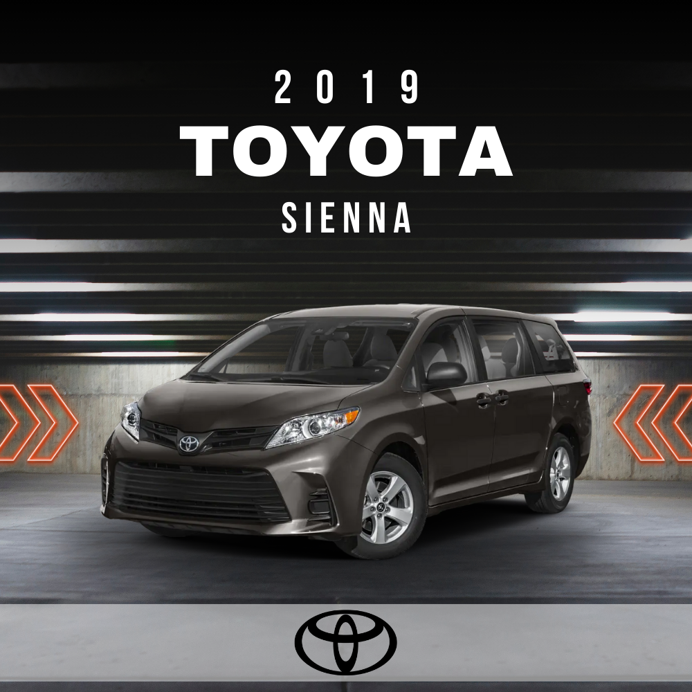 Wire Layout 2019 Toyota Sienna 3.5L LE - PDF